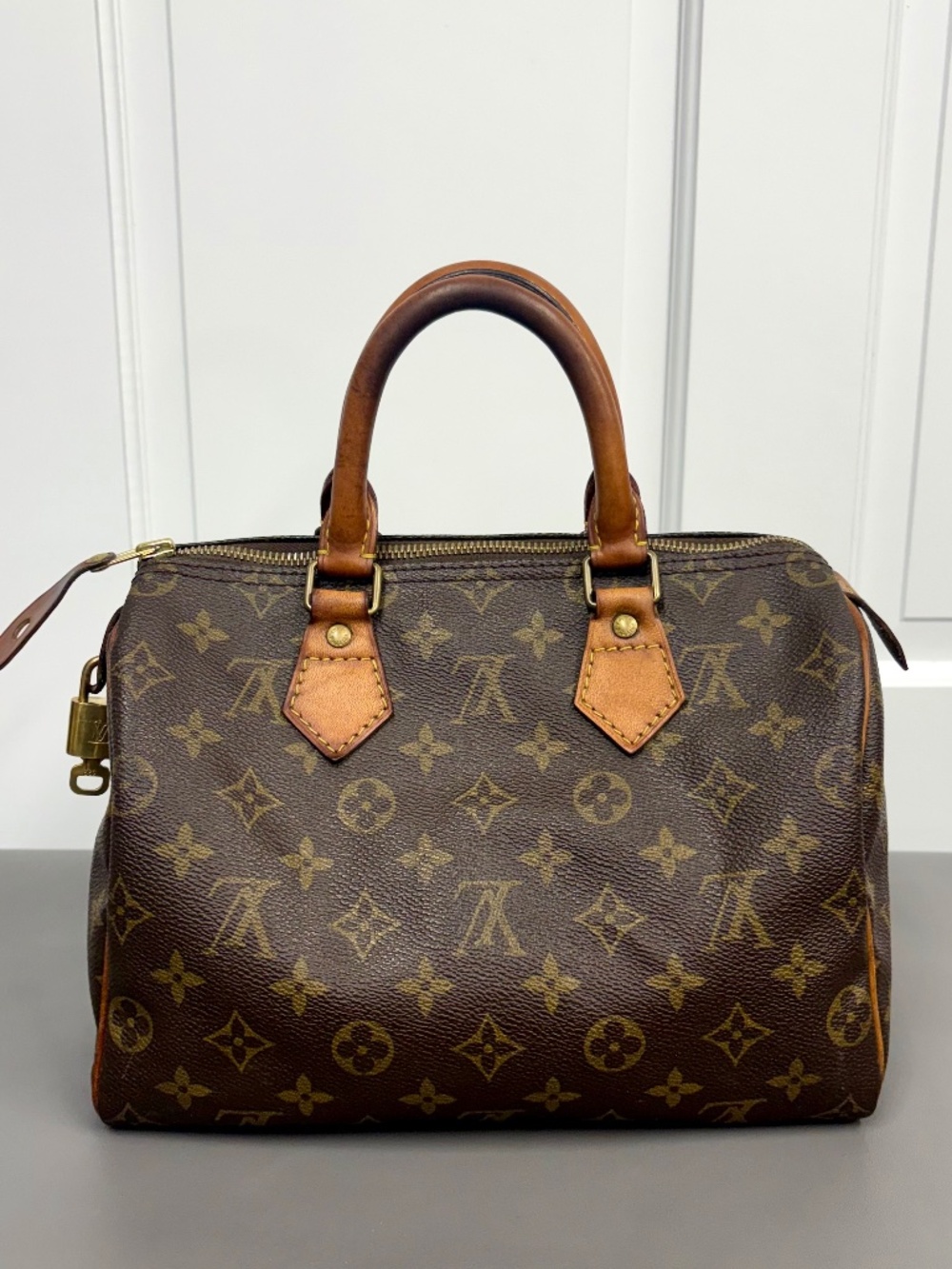 Louis Vuitton Speedy 25 Monogram Canvas